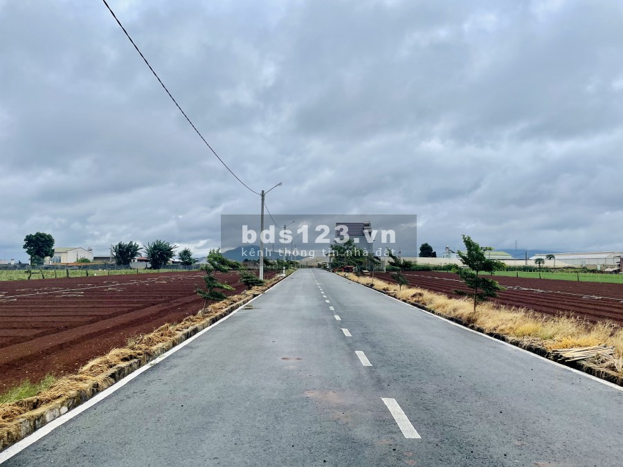 Bán đất nền thị trấn Liên Nghĩa Đức Trọng, Lâm Đồng, xung quanh tiện ích đầy đủ không thiếu thứ gì