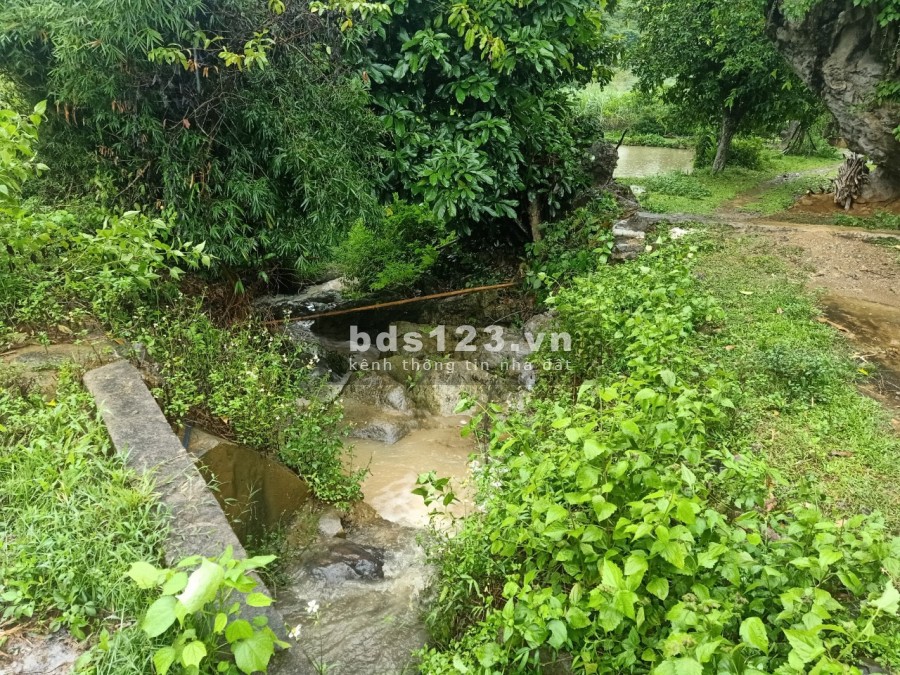 Gửi đến anh chị yêu thiên nhiên yêu suối tại Cao Phong Hòa Bình, liên hệ 0833066663