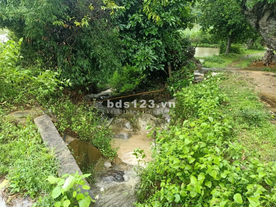 Gửi đến anh chị yêu thiên nhiên yêu suối tại Cao Phong Hòa Bình, liên hệ 0833066663