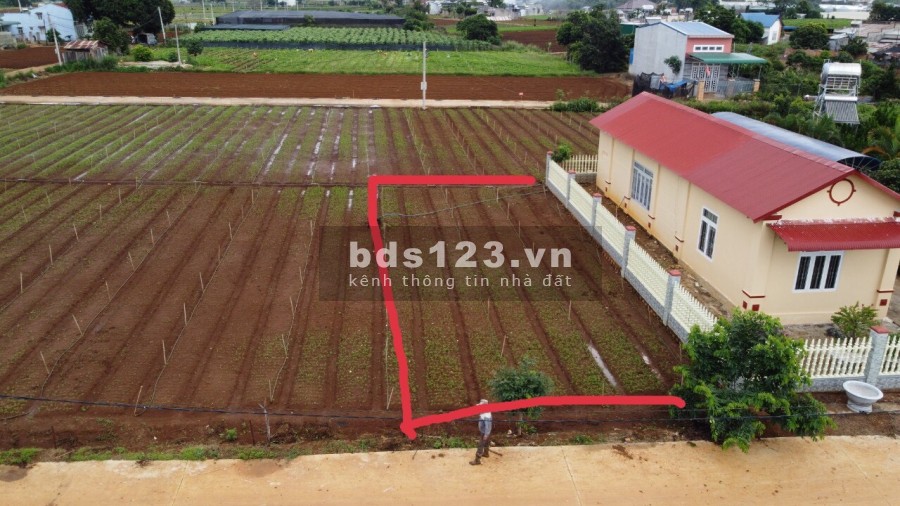 Bán Gấp lô Đất Tổ 32 thị trấn Liên Nghĩa Đức Trọng giá chỉ 950 triệu, khu dân cư đông đúc