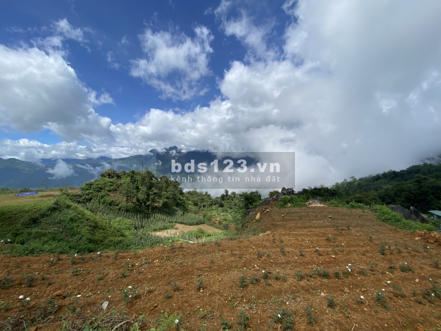 Bán cắt lỗ diện tích 1840m2 đất nền nghỉ dưỡng Mường Hoa-Sa Pa, giá thoả thuận