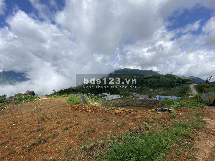 Bán cắt lỗ diện tích 1840m2 đất nền nghỉ dưỡng Mường Hoa-Sa Pa, giá thoả thuận