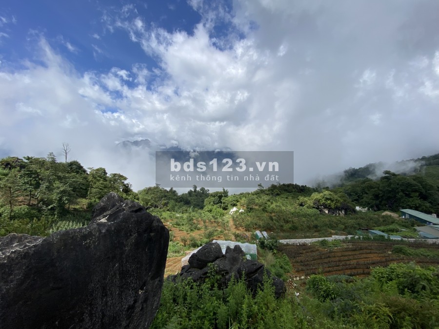 Bán cắt lỗ diện tích 1840m2 đất nền nghỉ dưỡng Mường Hoa-Sa Pa, giá thoả thuận