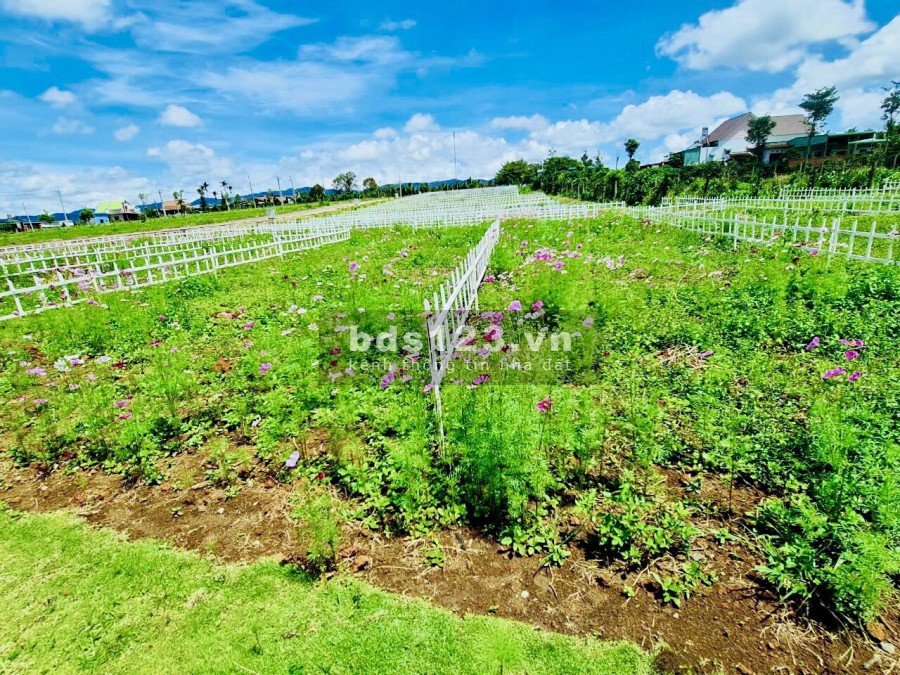 Đất Nền Sổ Sẵn Thổ Cư tại Bảo Lâm với chỉ hơn 700 triệu đồng/nền, đã có sẵn sổ đỏ