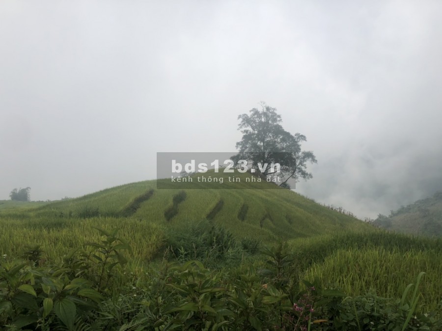 Bán mảnh đất làm Homestay tại trung tâm hành chính Huyện Y Tý ( SaPa 2), đang làm trích lục