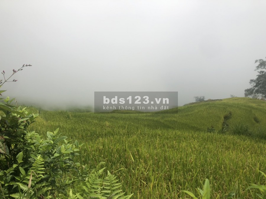 Bán mảnh đất làm Homestay tại trung tâm hành chính Huyện Y Tý ( SaPa 2), đang làm trích lục