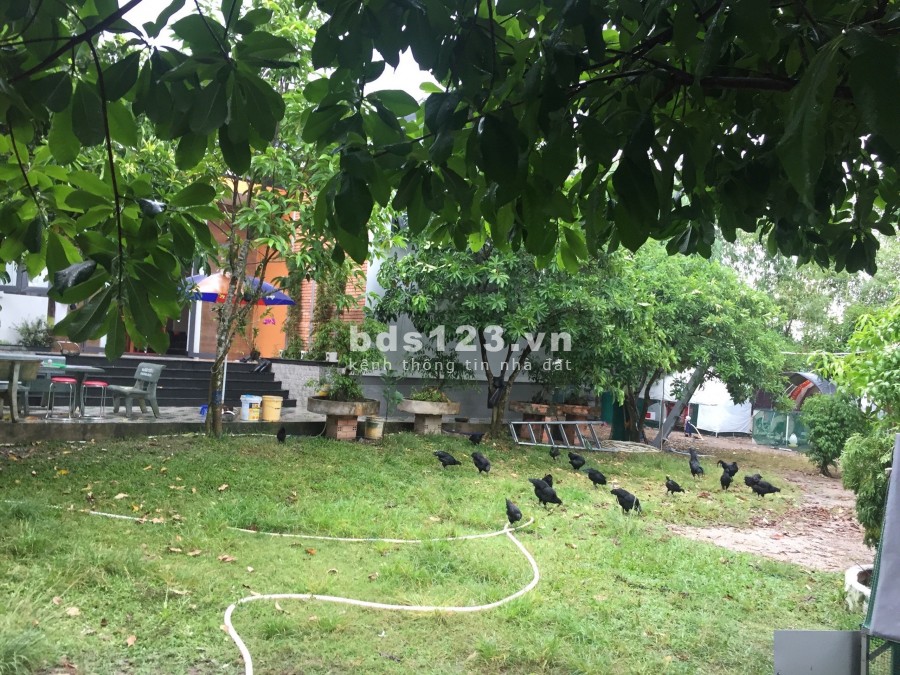 Cần bán nhà vườn + biệt thự xã Phú Hoà Đông Củ Chi diện tích 5200m2 300 thổ cư