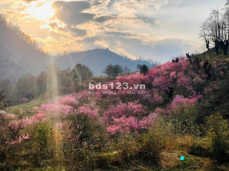 Bán đất Phìn Hồ, khu vực đầu tư bđs tiềm năng nhất tại Y Tý-Sapa 2, quy hoạch đất ở