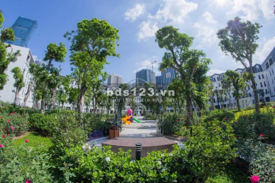 Shophouse vỉa hè miên man, tầng hầm để xe kinh doanh Tố Hữu Quận Hà Đông, giá tốt