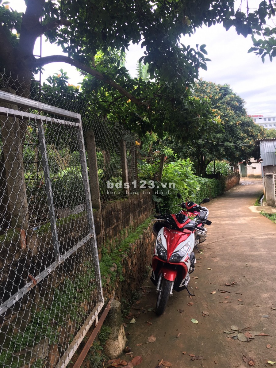 Cần bán quả đồi 1,1ha tại trung tâm nông trường mộc châu giá chỉ 500/m2, lh 0974311661