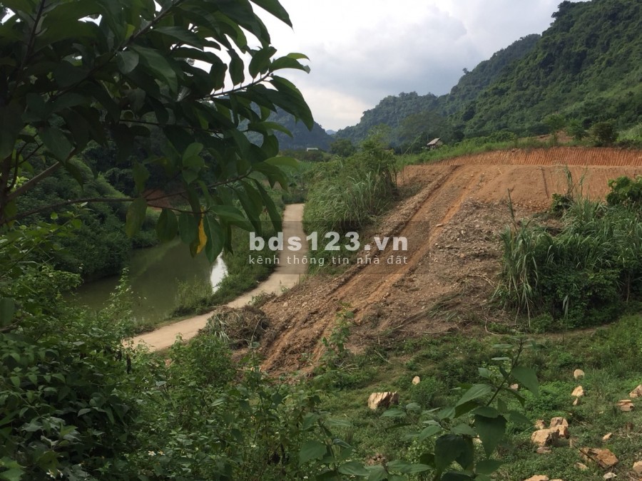 Càn bán 3961m full vườn, thực tế 5000m view đẹp giá chỉ 599 triệu Cao Phong