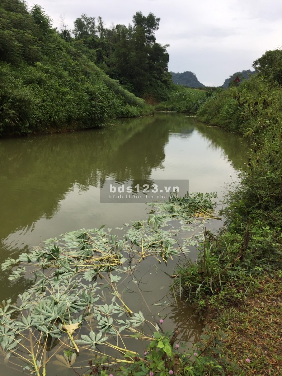Càn bán 3961m full vườn, thực tế 5000m view đẹp giá chỉ 599 triệu Cao Phong