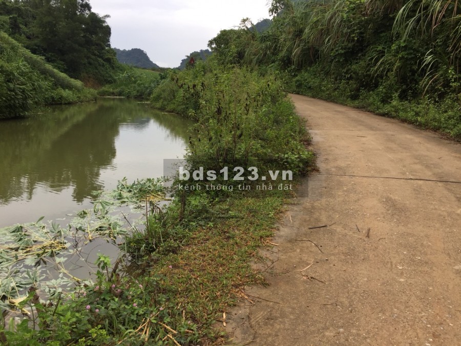 Càn bán 3961m full vườn, thực tế 5000m view đẹp giá chỉ 599 triệu Cao Phong