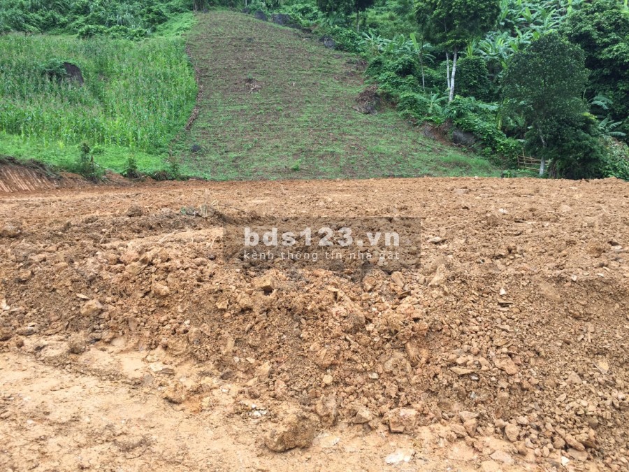 Càn bán 3961m full vườn, thực tế 5000m view đẹp giá chỉ 599 triệu Cao Phong