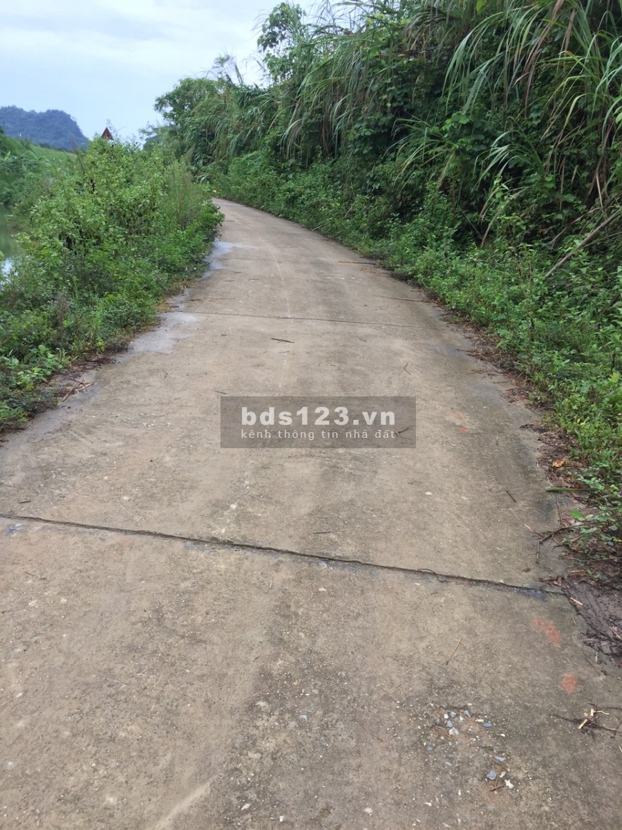 Càn bán 3961m full vườn, thực tế 5000m view đẹp giá chỉ 599 triệu Cao Phong