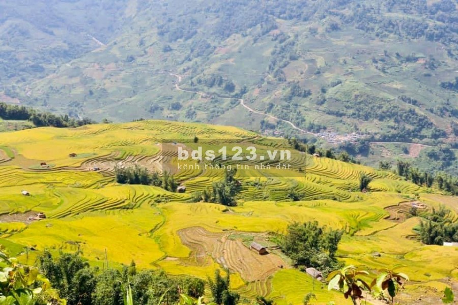 Đất nghỉ dưỡng Y TÝ- SAPA 2 cơ hội kiếm tiền nhanh cho các nhà đầu tư mùa dịch