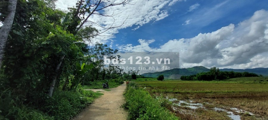 Bán đất nhà vườn view cánh đồng giá bán chỉ 1.05 tỷ diện tích sử dụng 233m2, lhcc