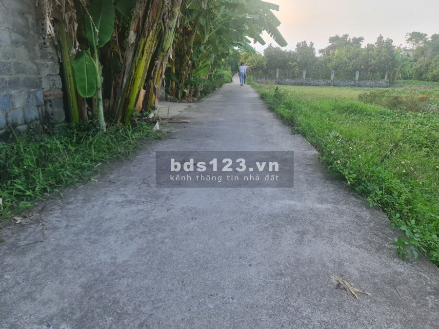 Bán đất thổ cư tại Vũ xá, Kim động, Hưng Yên liên hệ xem đất 0982420026, giá tốt