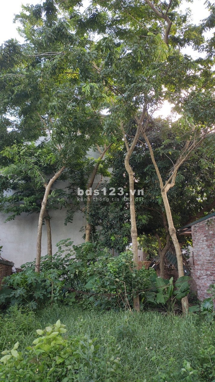 Bán đất tại thôn Mộc Hoàn Giáo, xã Vân Côn, Hoài Đức 115m2 ô tô đỗ cửa giá 20tr/m. LH 0912442669