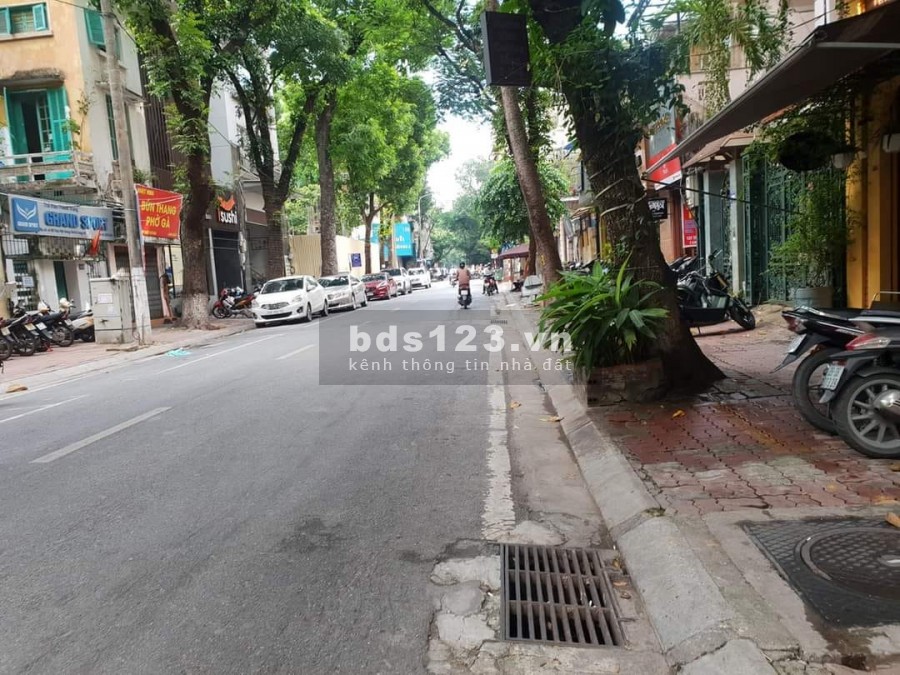 Vị trí đắc địa. Kinh doanh các loại hình. Mặt phố Triệu Việt Vương. 193m. 4T. MT 8.5m. 119 Tỷ.