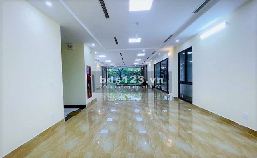 Bán nhà Cầu Giấy, phố Trần Duy Hưng vỉa hè, ô tô, kinh doanh dt 225m2 mt 11m giá 38 tỷ