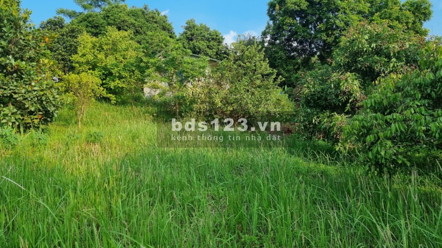 Bán siêu phẩm nghỉ dưỡng view cánh đồng diện tích 3634m có 400m thổ cư giá rẻ