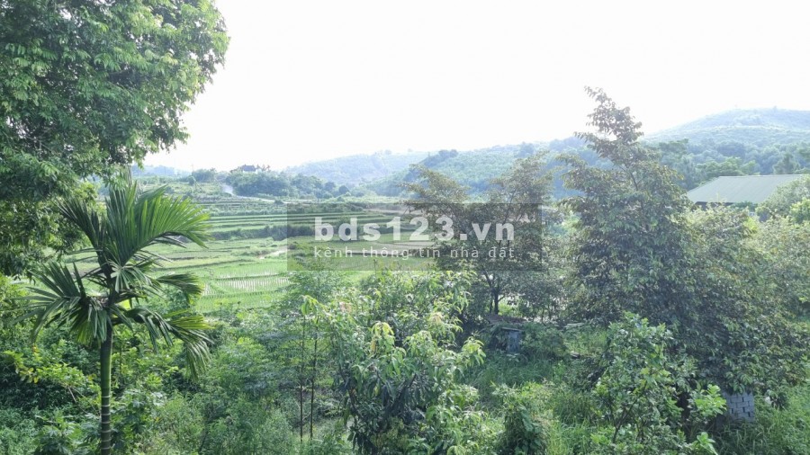 Bán siêu phẩm nghỉ dưỡng view cánh đồng diện tích 3634m có 400m thổ cư giá rẻ