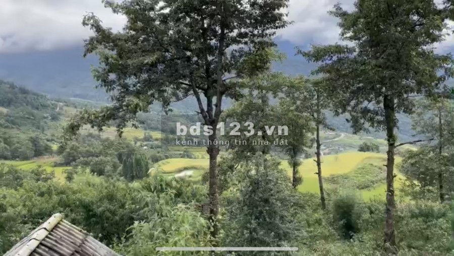 Mảnh đất Sa Pa 2 Y Tý view thung lũng săn mây, tiện ích đủ, giá bán thoả thuận sổ sẵn