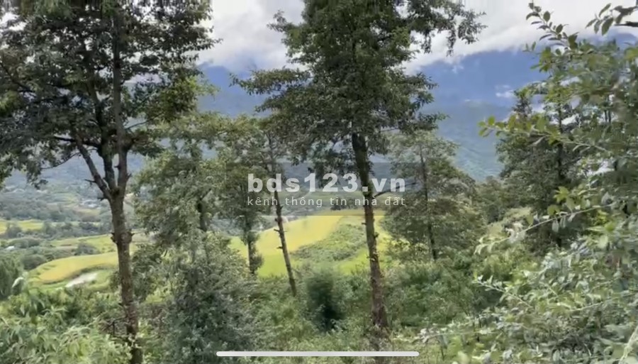 Mảnh đất Sa Pa 2 Y Tý view thung lũng săn mây, tiện ích đủ, giá bán thoả thuận sổ sẵn