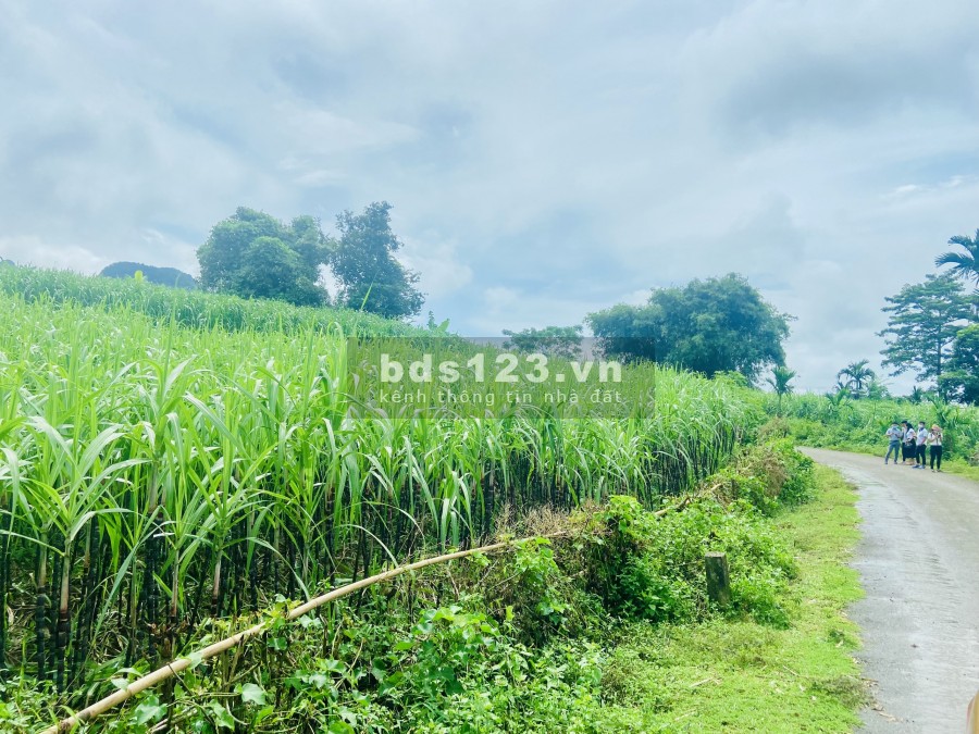 Bán lô đất tâm đắc toạ lạc ngay mặt tiền đường, diện tích lớn, pháp lí đầy đủ, bàn giao ngay