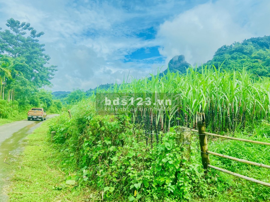 Bán lô đất tâm đắc toạ lạc ngay mặt tiền đường, diện tích lớn, pháp lí đầy đủ, bàn giao ngay