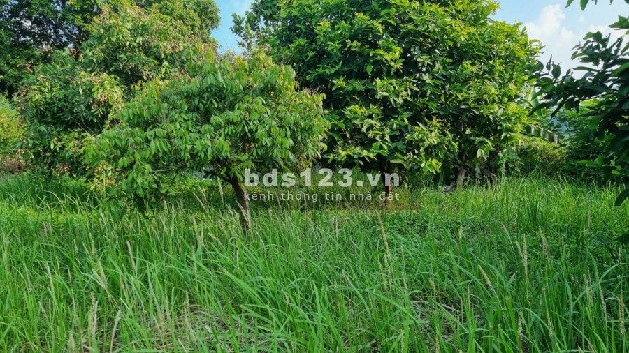 Bán siêu phẩm nghỉ dưỡng view cánh đồng diện tích 3634m có 400m thổ cư giá rẻ
