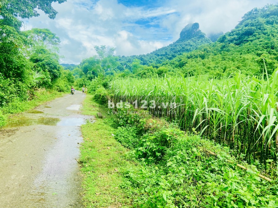 Bán lô đất tâm đắc toạ lạc ngay mặt tiền đường, diện tích lớn, pháp lí đầy đủ, bàn giao ngay