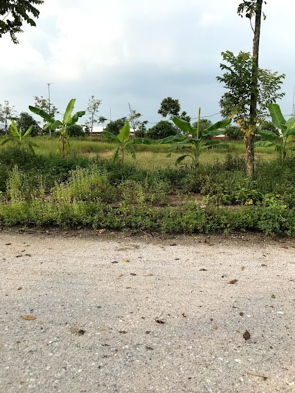 Bán lô đất chính chủ diện tích sử dụng 100m2, giá bán 1.58 tỷ, tại Yên Mỹ, dự án New City