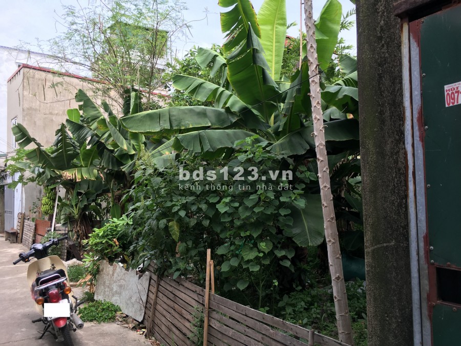 Duy Nhất Rẻ như cho rộng 80m2 đất Hoa Lâm Long Biên chỉ 29 triệu/1m2, sổ chính chủ