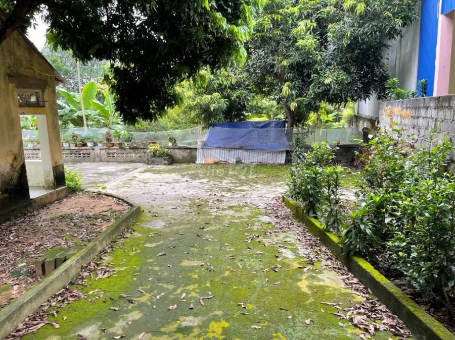Cần bán đất diện tích 800m2 nằm ở Xã Cù Vân, Huyện Đại Từ, Thái Nguyên