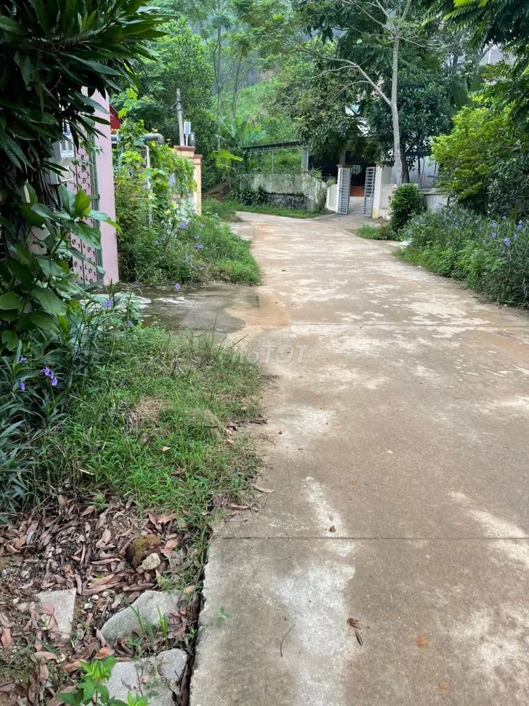 Cần bán đất diện tích 800m2 nằm ở Xã Cù Vân, Huyện Đại Từ, Thái Nguyên
