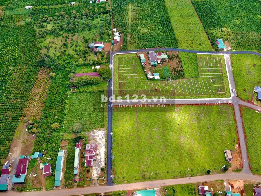 Đất Nền Thổ Cư Sổ Hồng tại Bảo Lâm, mặt tiền đường, thế đất bằng phẳng dễ xây dựng