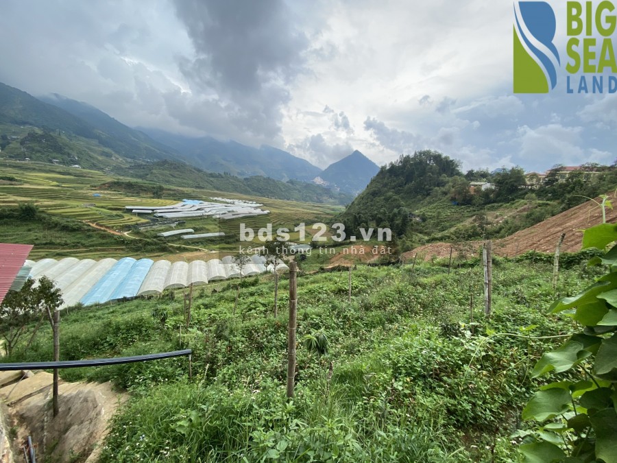 Cần bán lô đất dt 805m2 tại Tả Phìn-Sapa giá rẻ bất ngờ nhanh tay kẻo lỡ, tiện ích xung quanh đủ