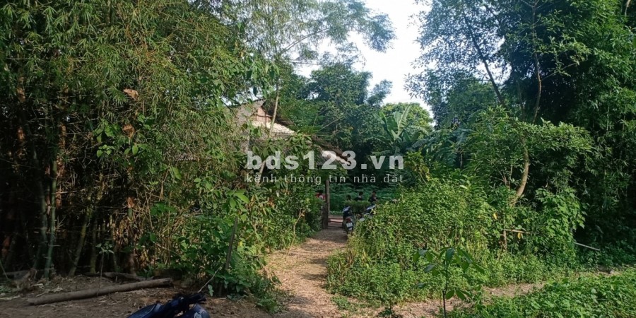 Bán lô đất rẻ 590 triệu diện tích 790m2, thổ cư bám suối to nước chảy trong vắt tại Kim Bôi