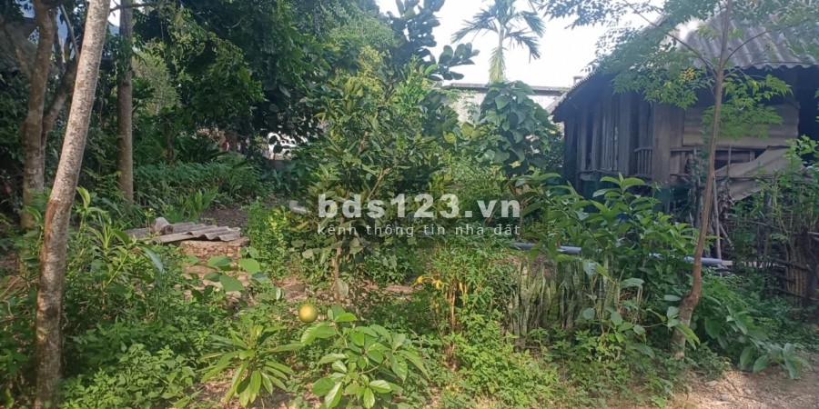 Bán lô đất rẻ 590 triệu diện tích 790m2, thổ cư bám suối to nước chảy trong vắt tại Kim Bôi