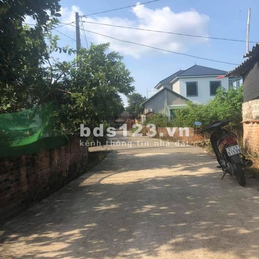 Bán gấp lô đất tại Phú Ninh Thanh Vân, Tam Dương, giá chỉ hơn 600 triệu, liên hệ 0961648277