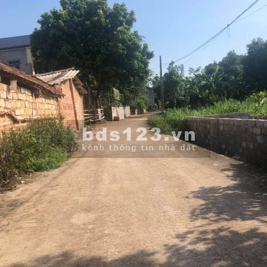 Bán gấp lô đất tại Phú Ninh Thanh Vân, Tam Dương, giá chỉ hơn 600 triệu, liên hệ 0961648277