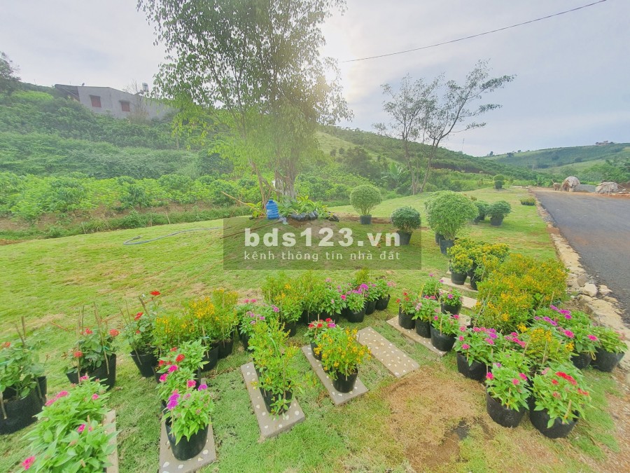 Tổng 3ha,diện tích đa dạng diện tích sử dụng 100m2-300m2 giá bán chỉ 727 triệu, lhcc