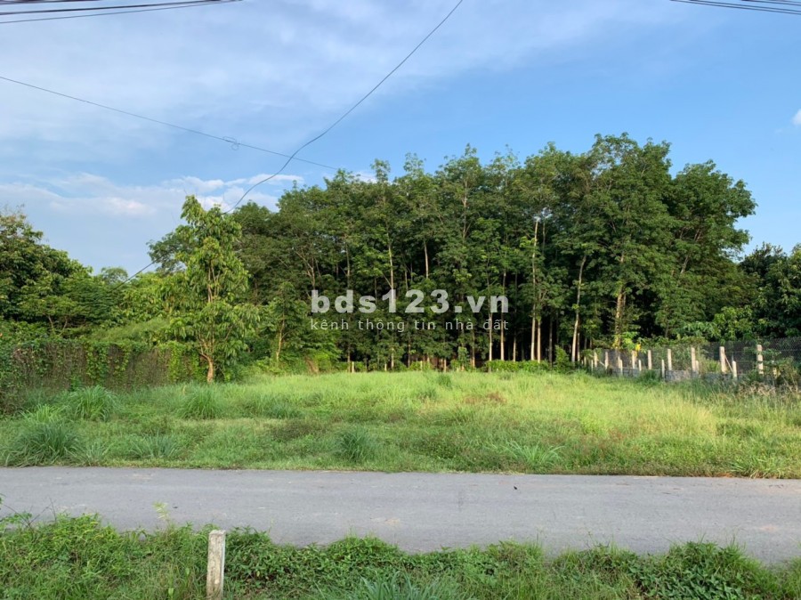 Cần bán gấp đất mặt tiền nhựa 1/ Tỉnh Lộ 15 vào 200m xã Phú Hoà Đông ngang 20m 724m2