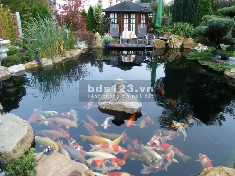 Tổng 3ha,diện tích đa dạng diện tích sử dụng 100m2-300m2 giá bán chỉ 727 triệu, lhcc