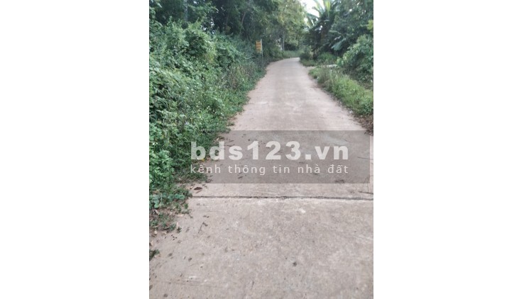 Cần bán 1000m2 hai mặt tiền vuông vắn, view cánh đồng k ai che chắn, đẹp nhất khu vực