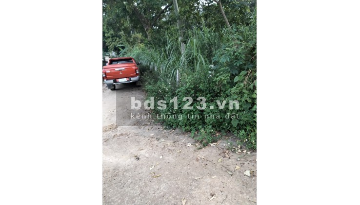 Cần bán 1000m2 hai mặt tiền vuông vắn, view cánh đồng k ai che chắn, đẹp nhất khu vực