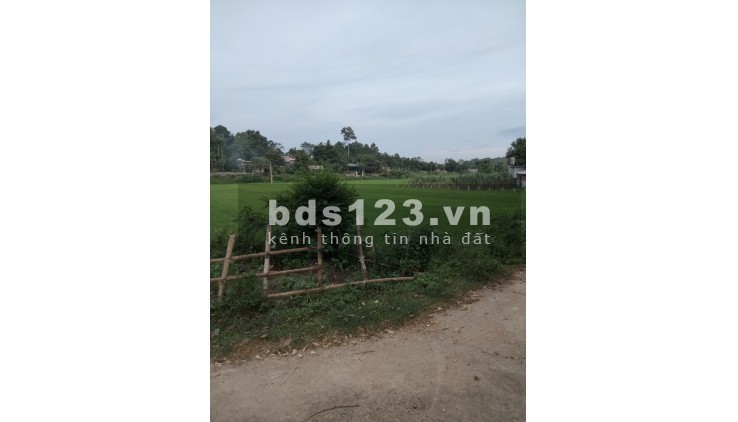 Cần bán 1000m2 hai mặt tiền vuông vắn, view cánh đồng k ai che chắn, đẹp nhất khu vực
