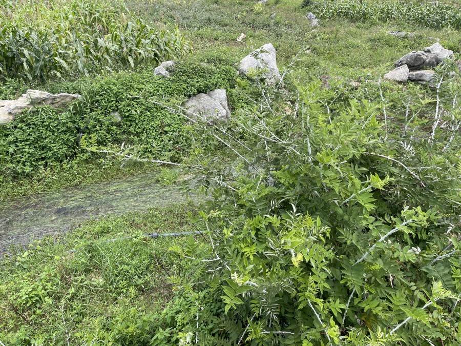 Bán đất trung tâm nông trường Mộc Châu, đầu tư du lịch tiềm năng rạng ngời, 5065m2, giá chỉ hơn 3tỷ